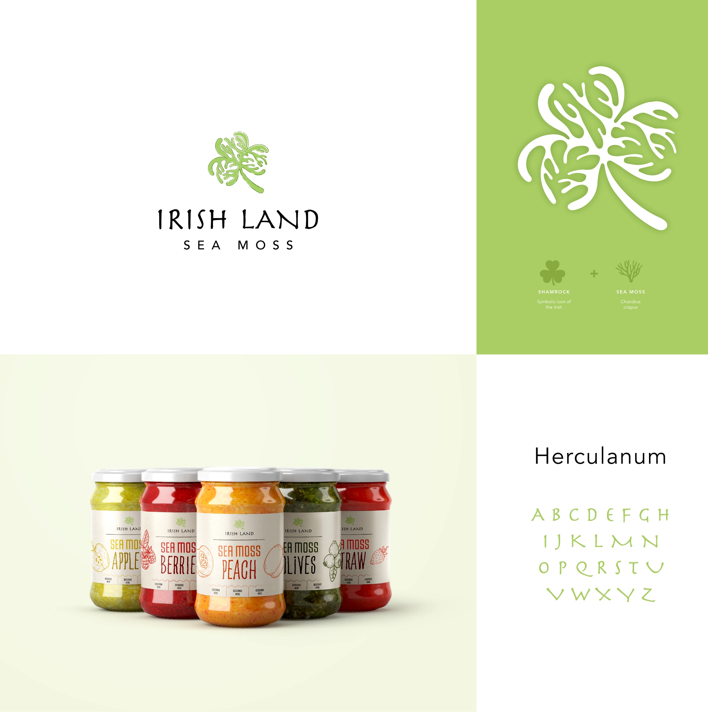 Irish Land supplied identity board showing sea moss packaging and botanical symbol.